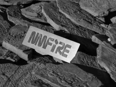 Konsultan dari Jepang dan Indonesia mengunjungi NMFIRE